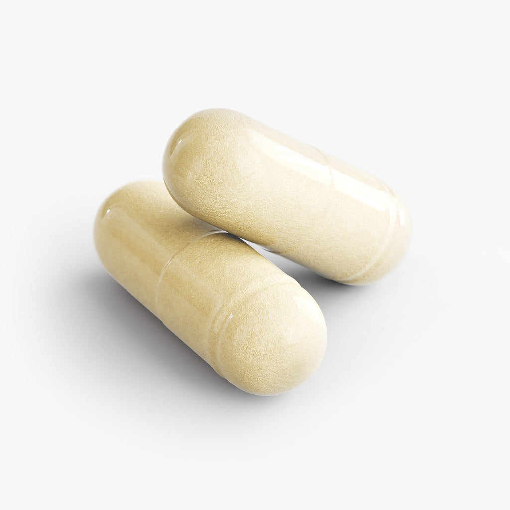 Cognitive Support: Premium Nootropics for Focus