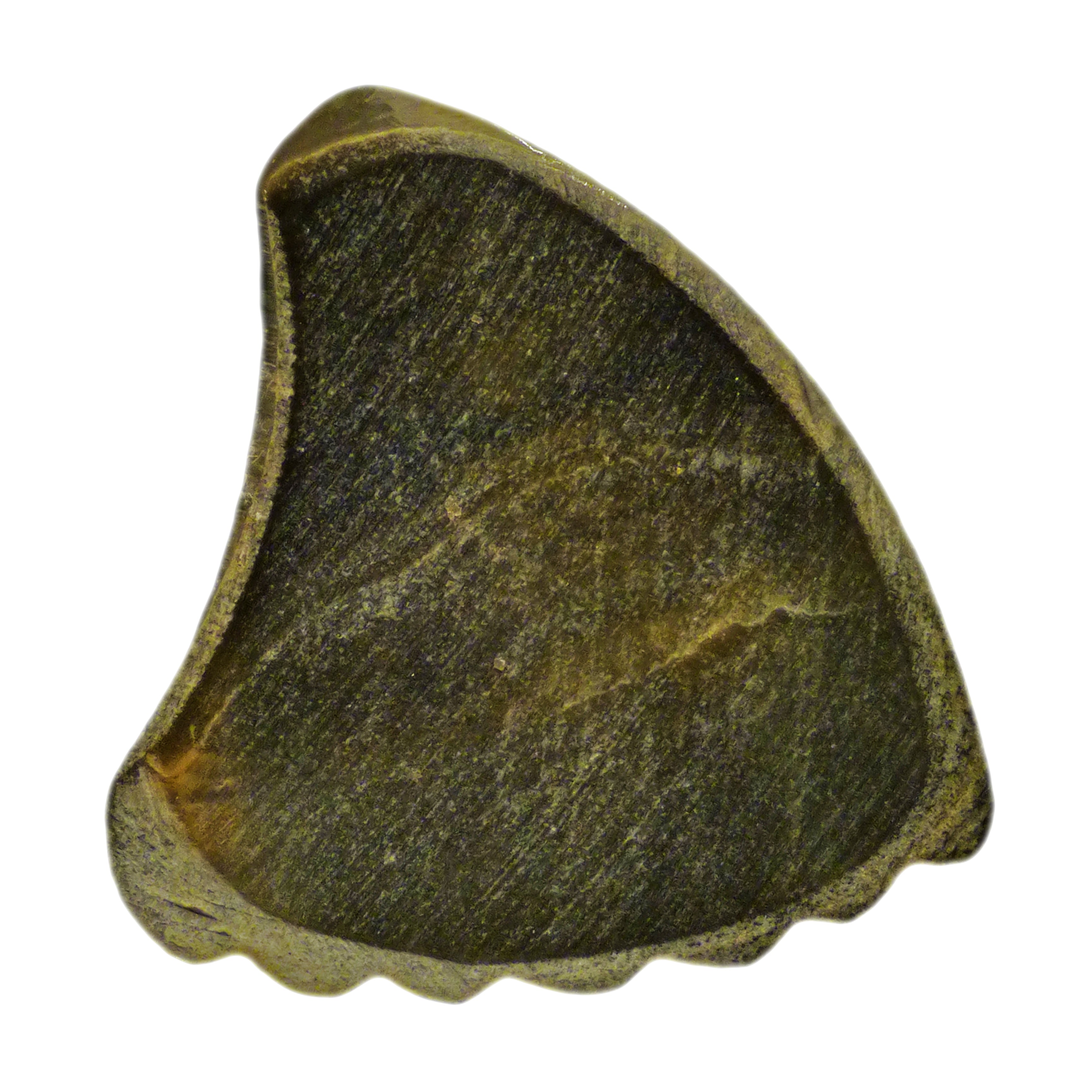 Black Abalone Shell Guitar Or Bass Pick - 2.0 mm - 390 Wedge Shark Fin Shape - Handmade Specialty Exotic Luxury Plectrum
