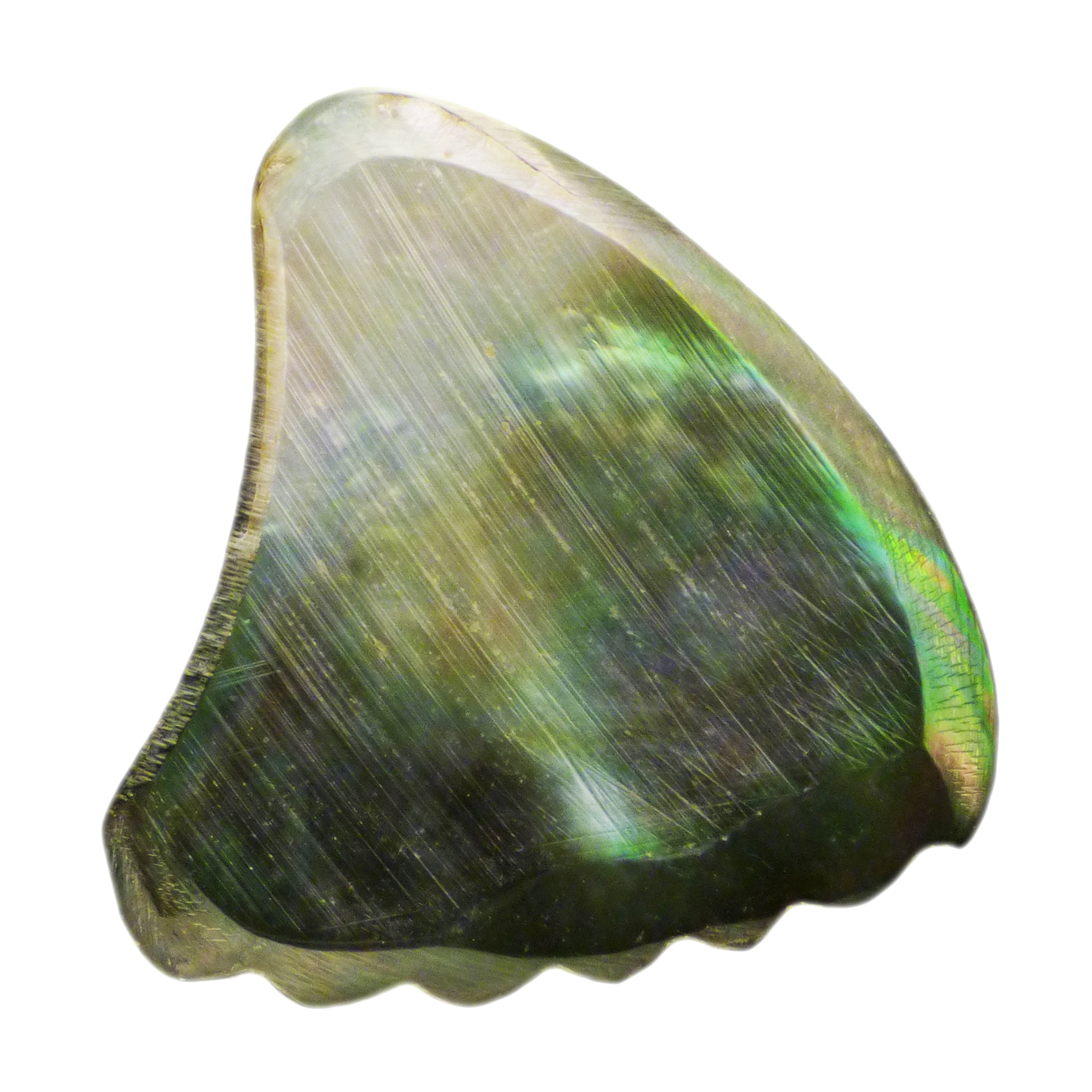 Black Abalone Shell Guitar Or Bass Pick - 2.0 mm - 390 Wedge Shark Fin Shape - Handmade Specialty Exotic Luxury Plectrum