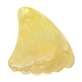 Gold Abalone Shell Guitar Or Bass Pick - 2.0 mm - 390 Wedge Shark Fin Shape - Handmade Specialty Exotic Luxury Plectrum