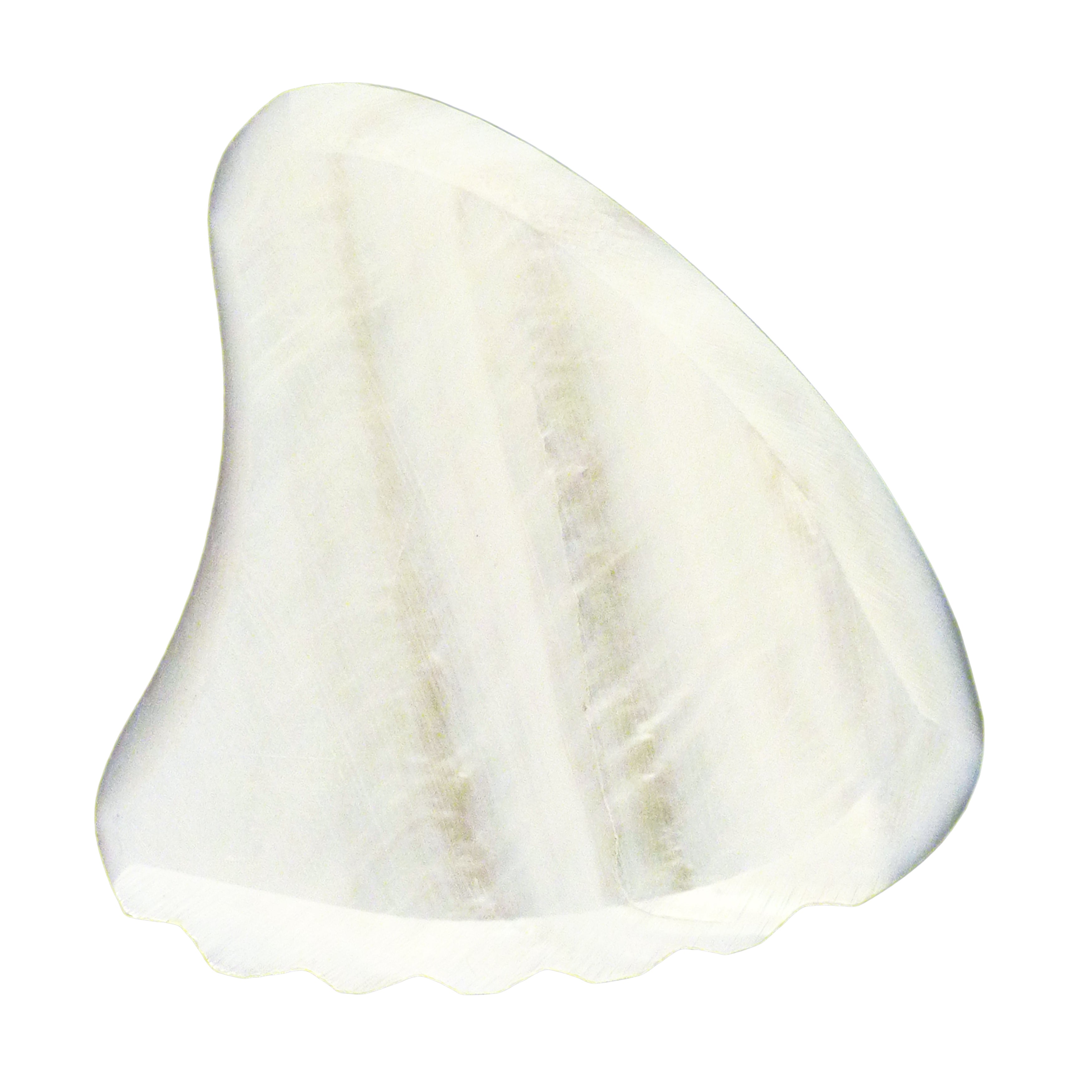 White Abalone Shell Guitar Or Bass Pick - 2.0 mm - 390 Wedge Shark Fin Shape - Handmade Specialty Exotic Luxury Plectrum