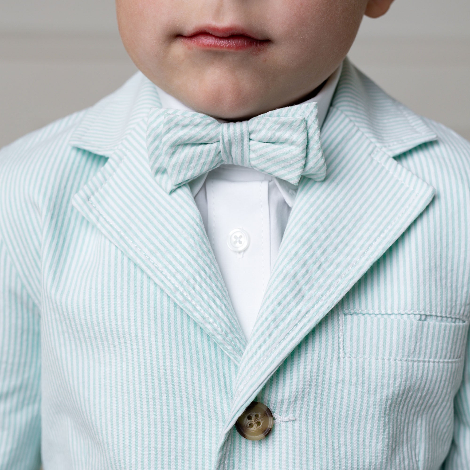 Seersucker Bow Tie