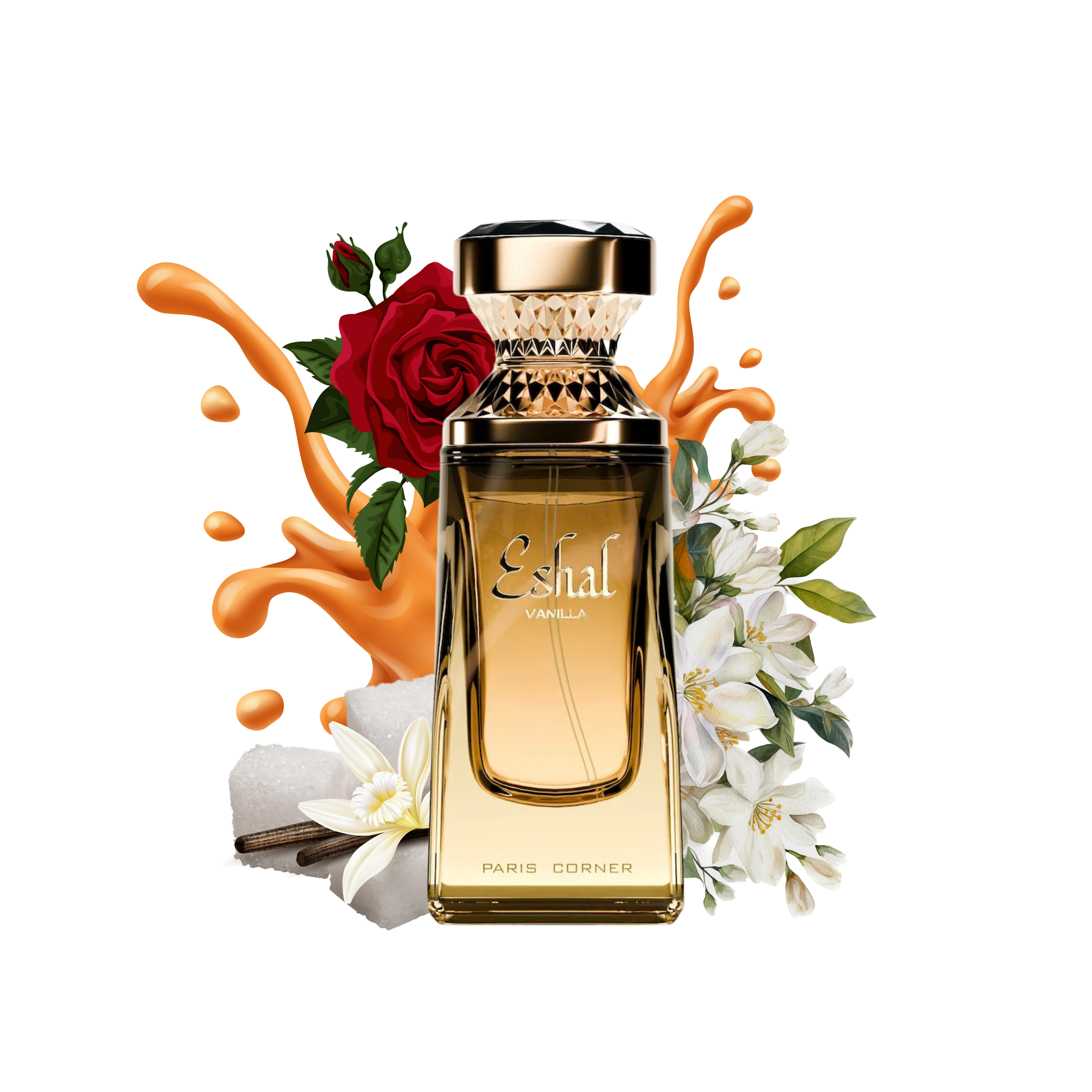 Aroma Concepts Eshal Vanilla Eau de Parfum 3.4 oz