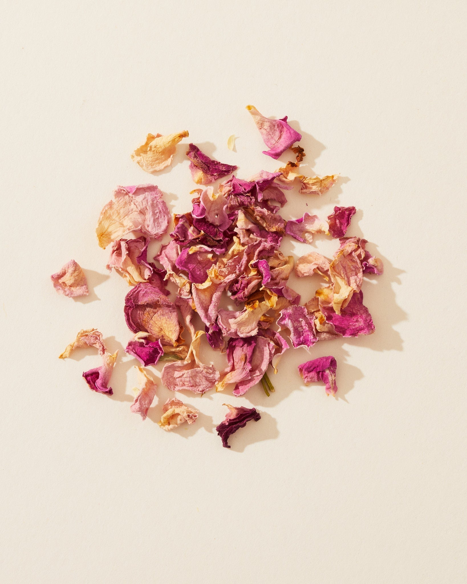 rosebuds & pink petals