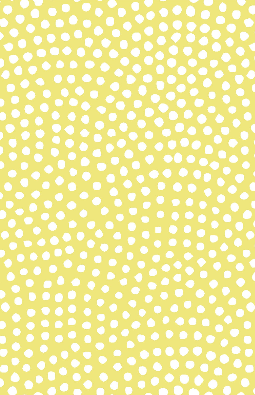 Jayana Top - Tangled Dots