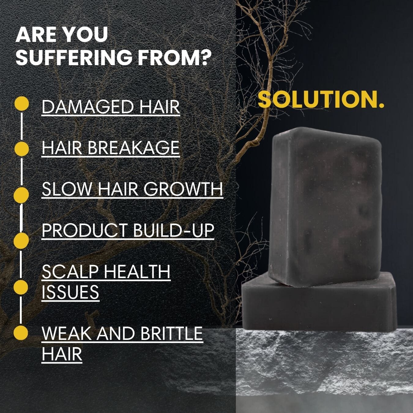 (Sauvage Dior Inspired) Shampoo Bar