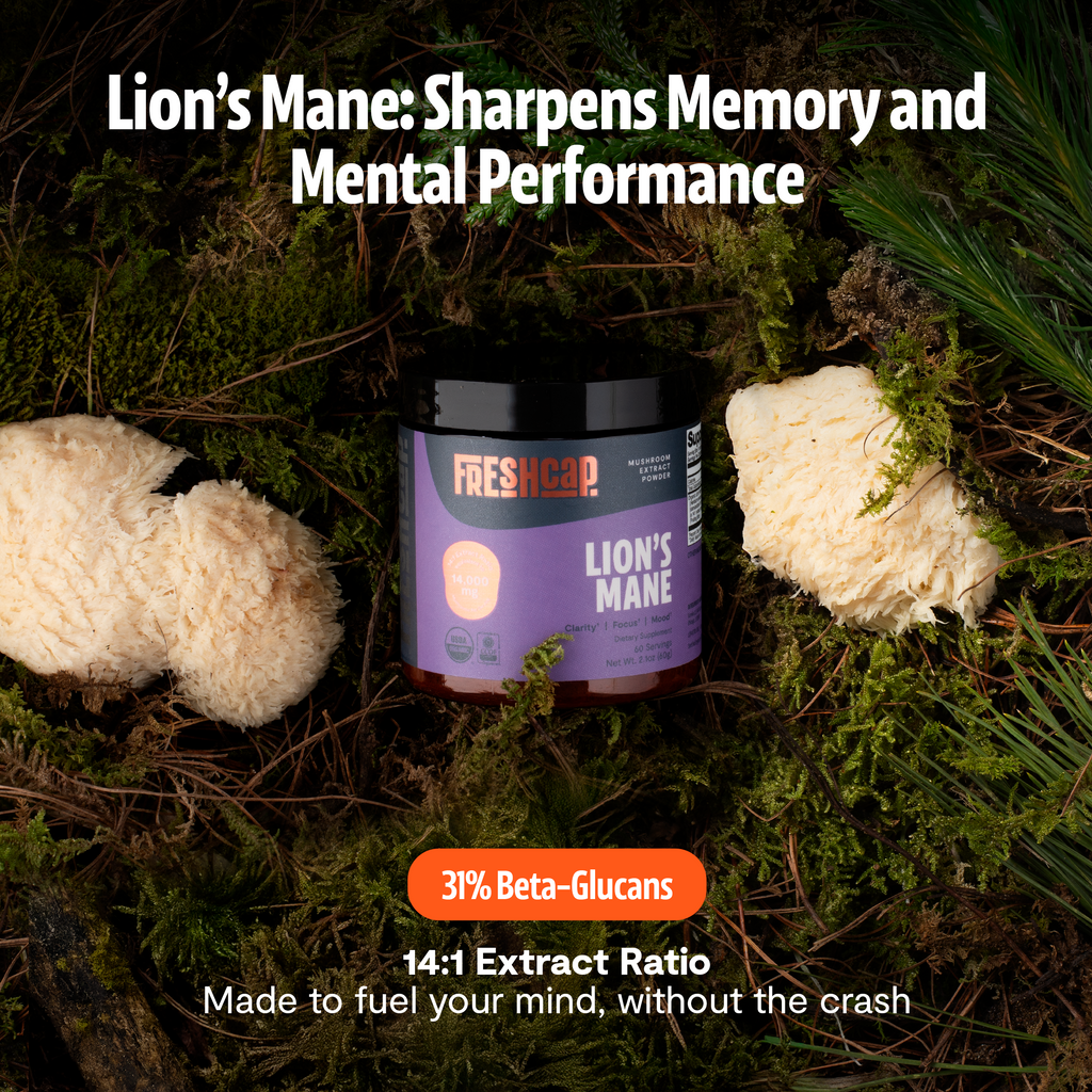 Organic Lion’s Mane Mushroom Powder