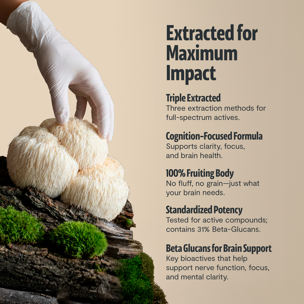 Organic Lion’s Mane Mushroom Powder