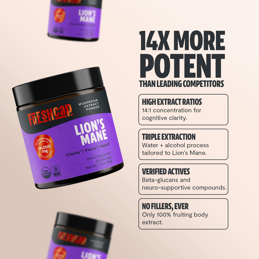 Organic Lion’s Mane Mushroom Powder