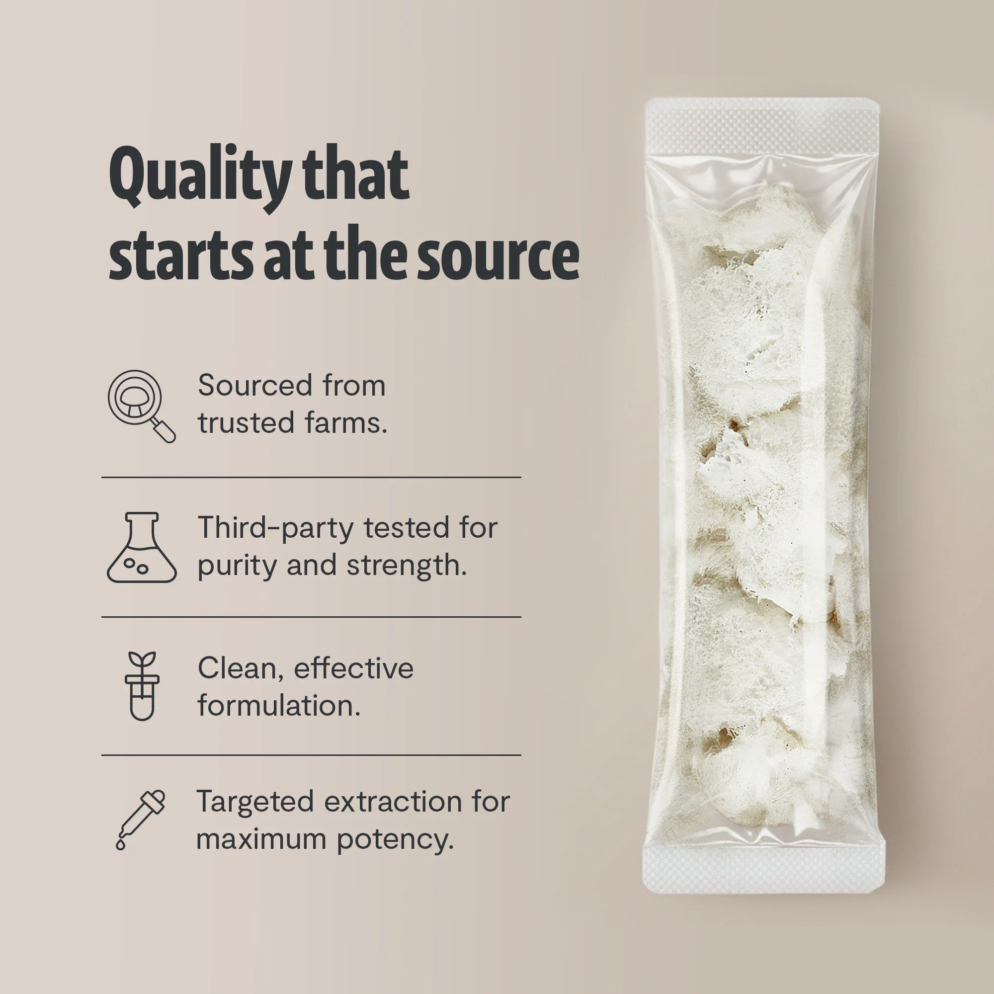 Organic Lion’s Mane Mushroom Powder