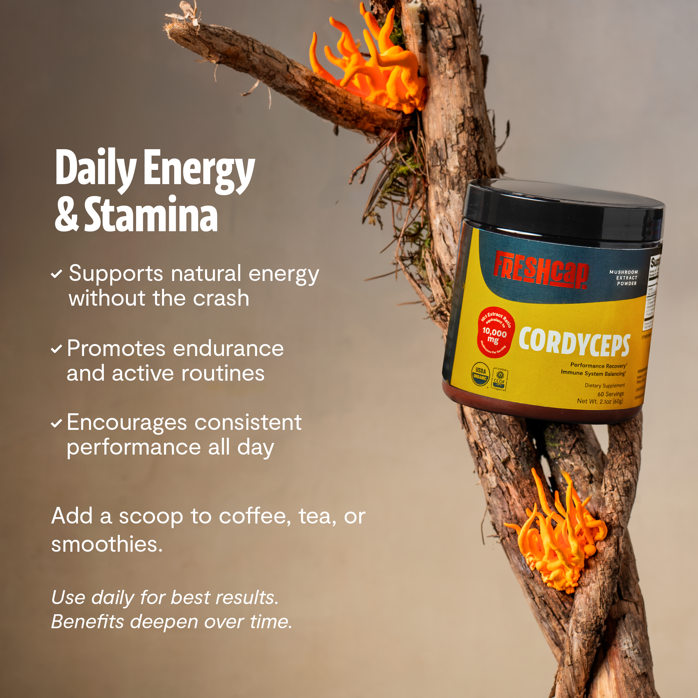 Cordyceps Mushroom Extract Powder
