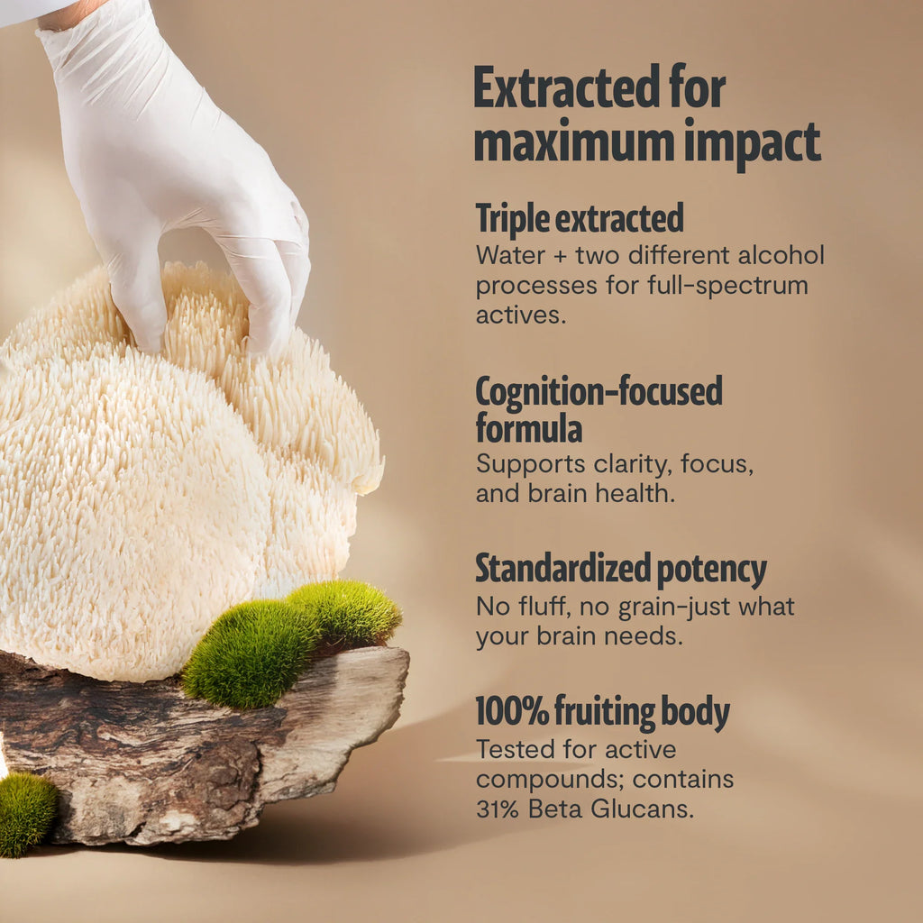 Organic Lion’s Mane Mushroom Powder