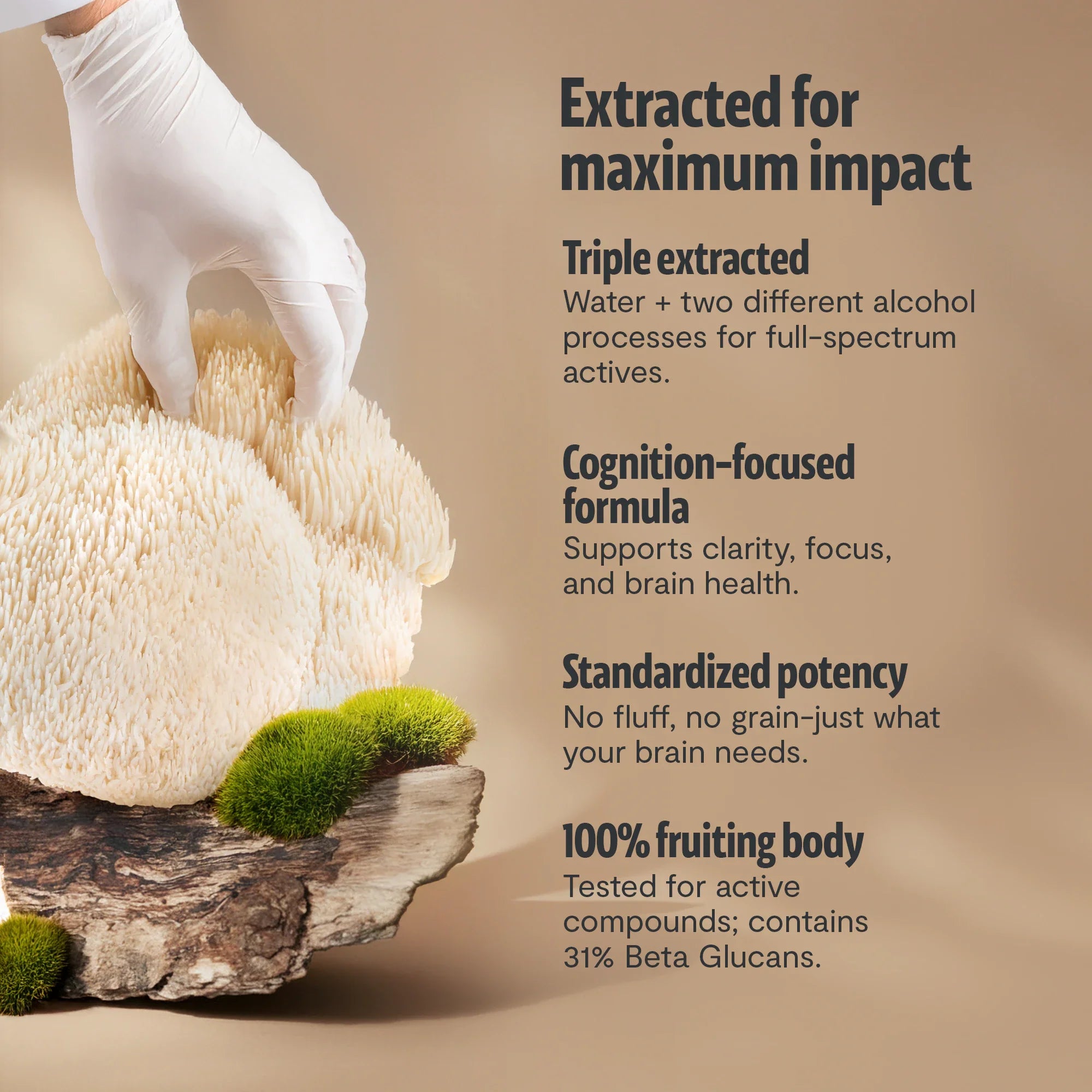 Organic Lion’s Mane Mushroom Powder