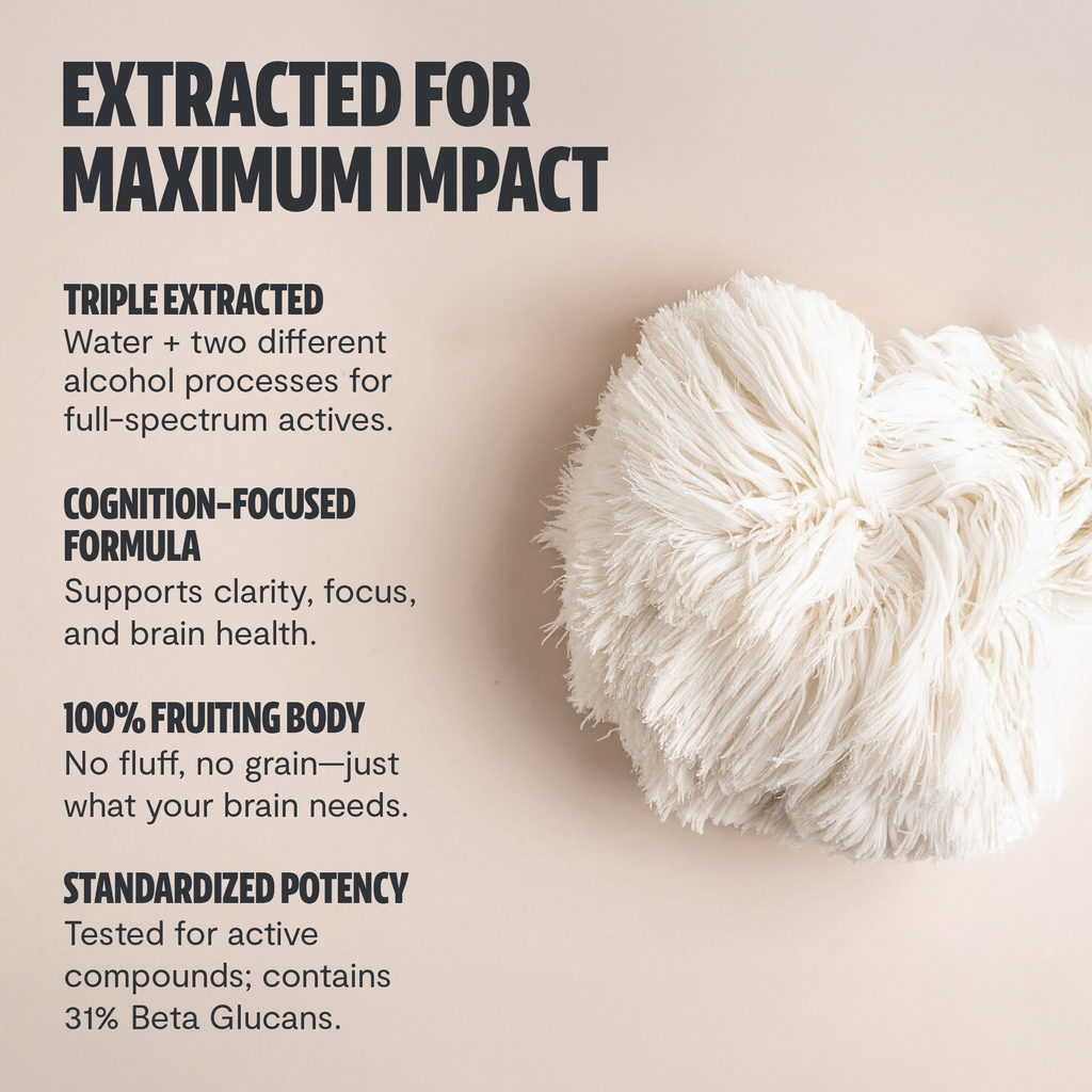 Organic Lion’s Mane Mushroom Powder