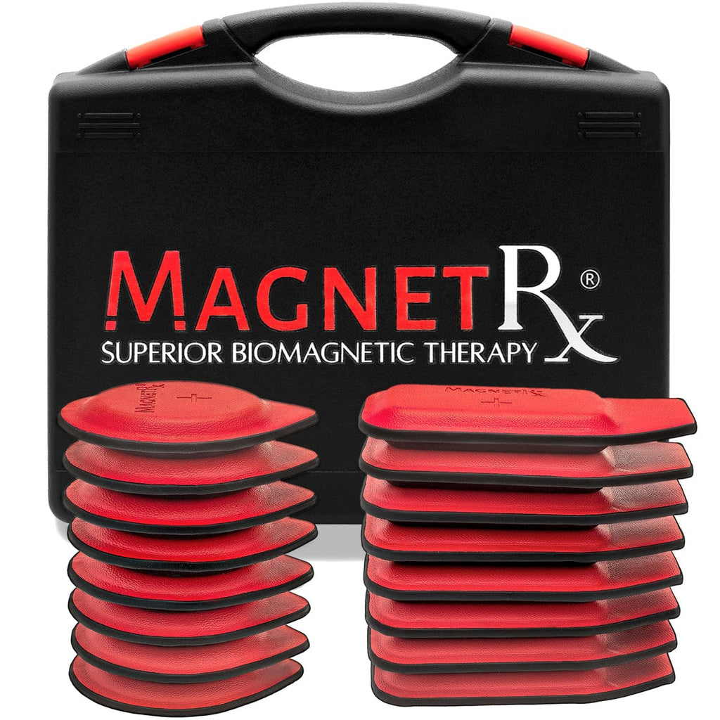Biomagnetic Therapy Magnet Kit — Ferrite & Leather (16 Small Mixed Units)