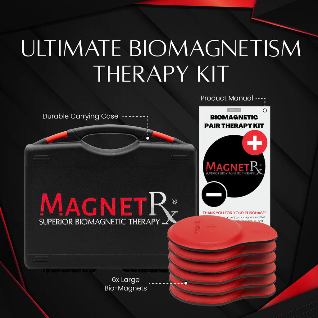 Biomagnetic Therapy Magnet Kit — Ferrite & Leather (6 Large Magnets)