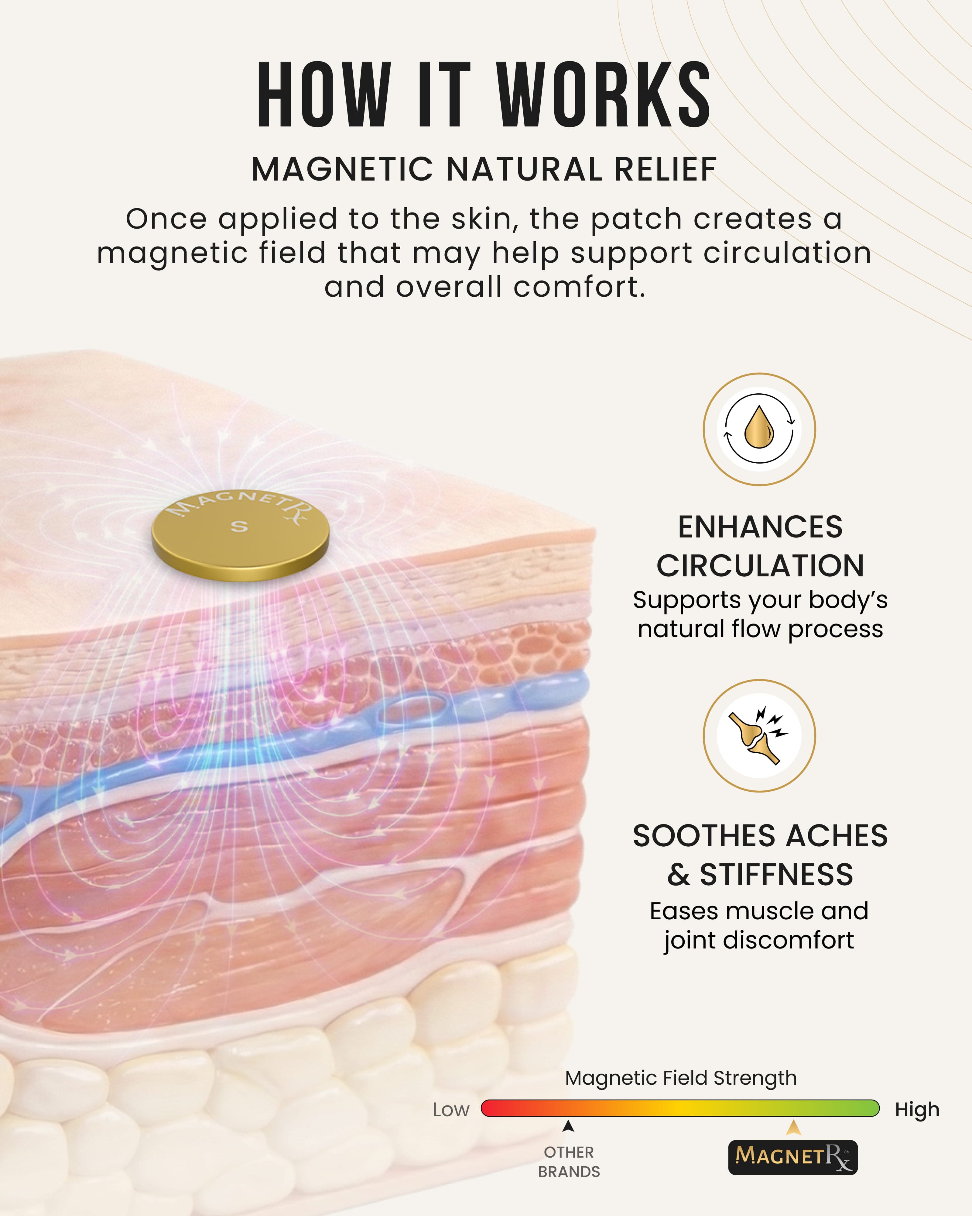 Magnetic Therapy Spot Magnet Kit