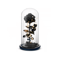Beauty and The Beast Rose (Black)