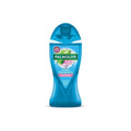 Palmolive Aroma Sensations Shower Gel - Feel The Massage with Dead Sea Minerals, 8.45 fl oz